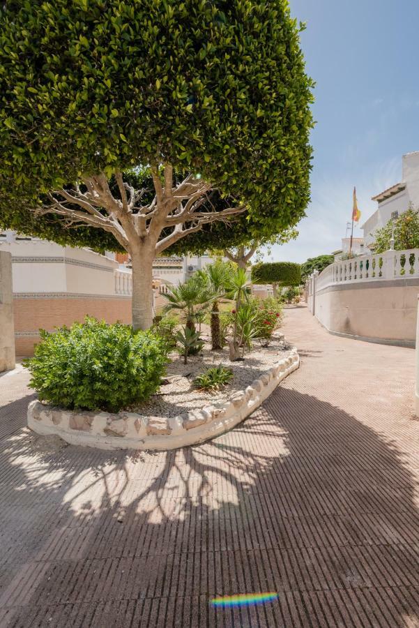 Apartament "Parque Mar" La Mata  Exterior photo